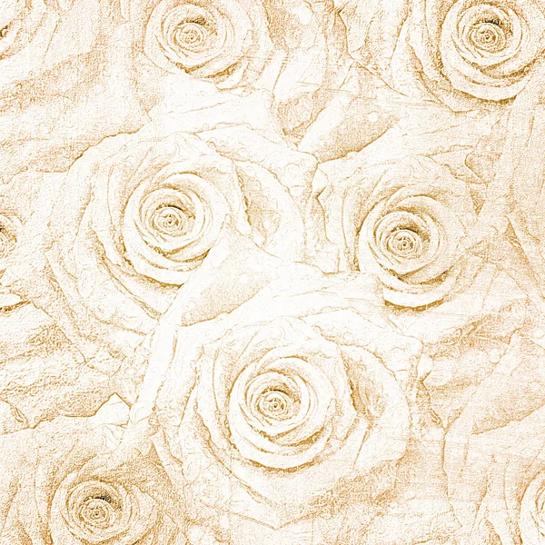 Texture with a Roses — Stock Photo, Image