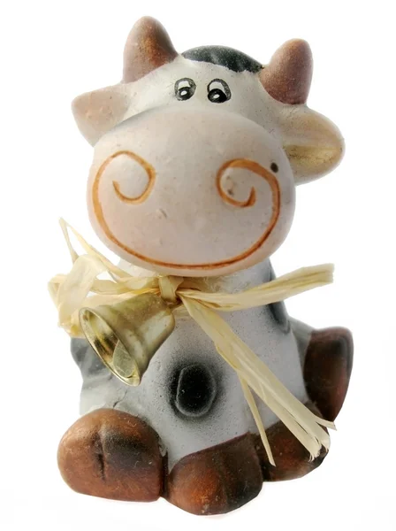 Cow on white background — Stock Photo, Image