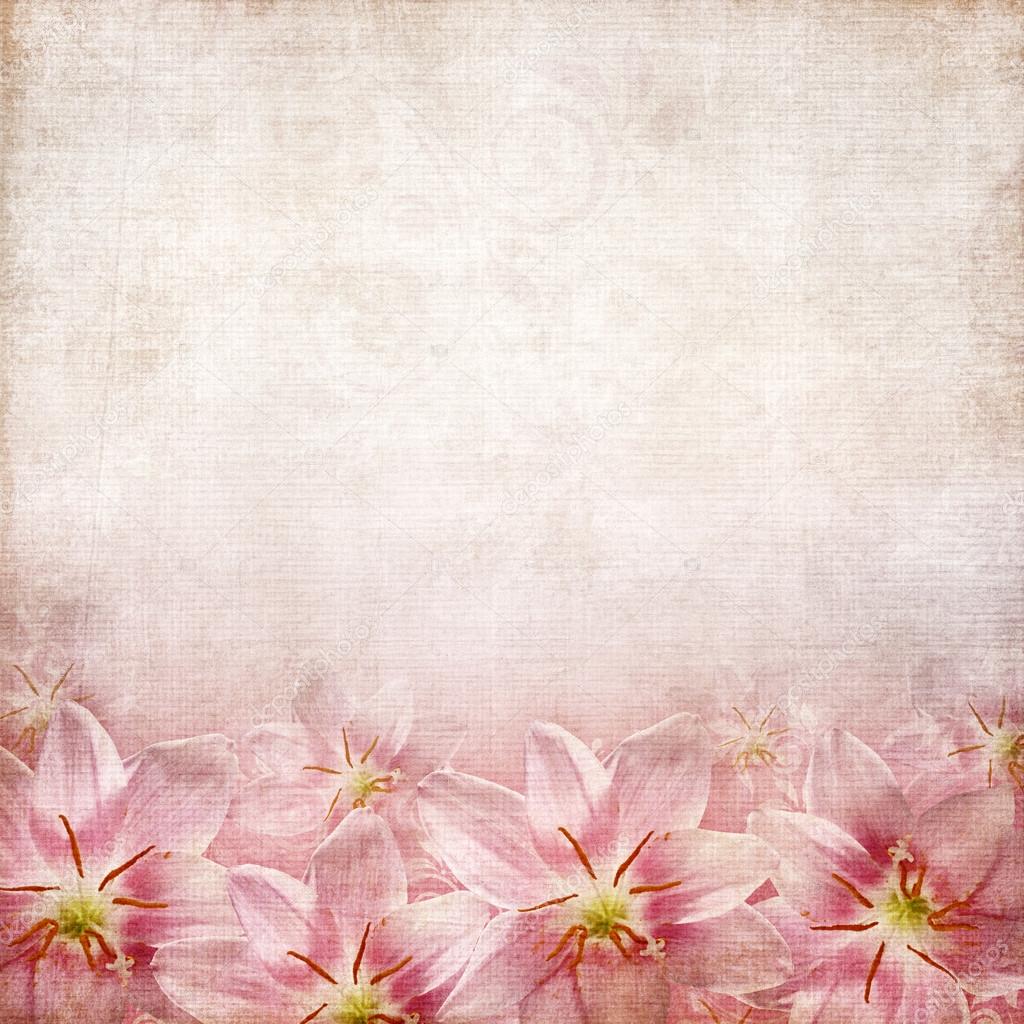 Greeting or invitation card background with pink lily flowers Stock Photo  by ©o_april 30342565