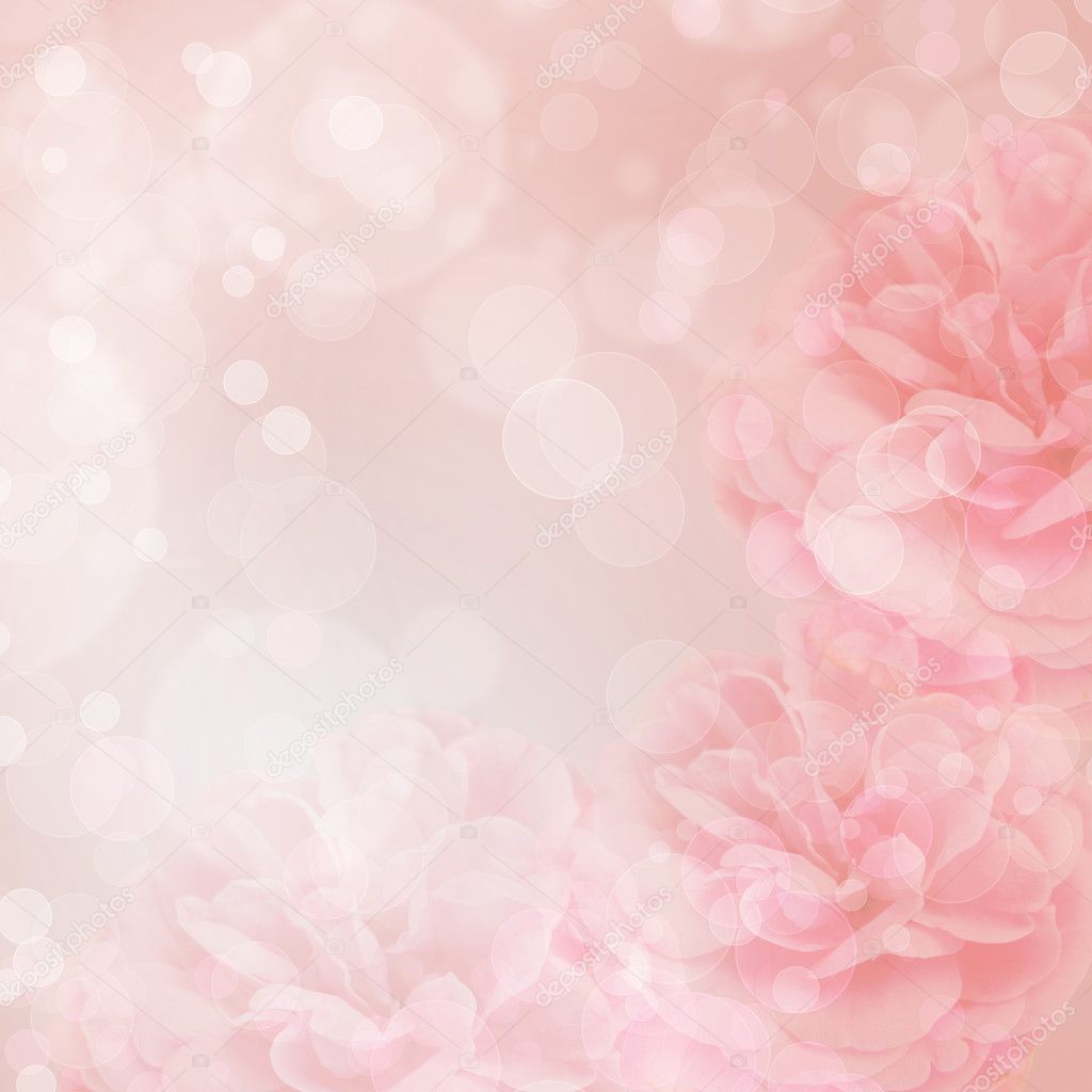 Beautiful pink rose on bokeh background