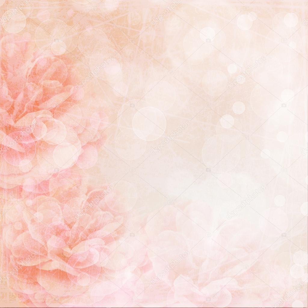 Beautiful pink roses background