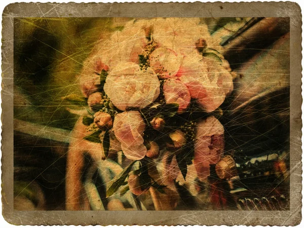 Cartão vintage com buquê de noivas em carro retro — Fotografia de Stock