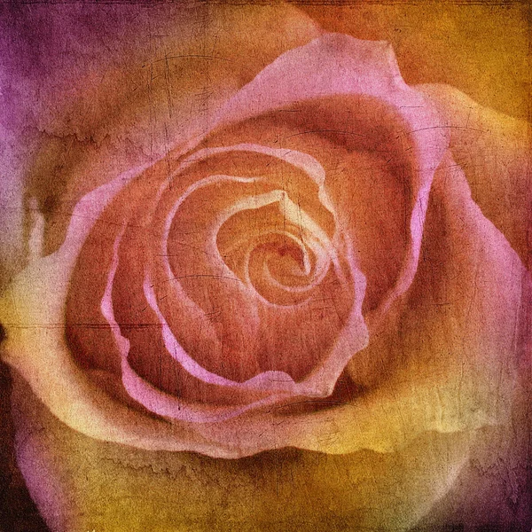 Rose etching Stock Photos, Royalty Free Rose etching Images | Depositphotos