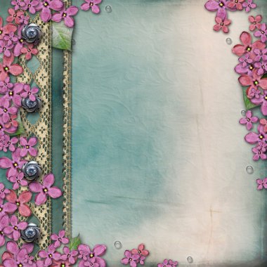 Lila ve el yapımı dantel ile albüm kapağı 