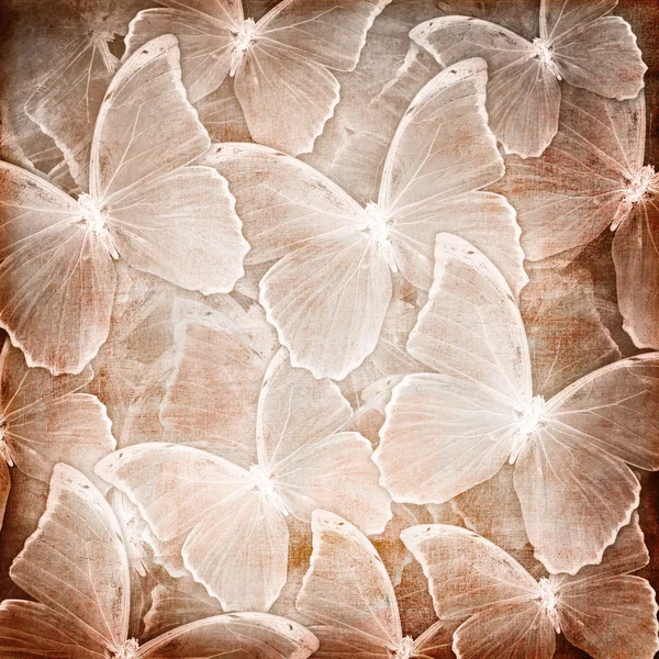 Sfondo con farfalla — Foto Stock