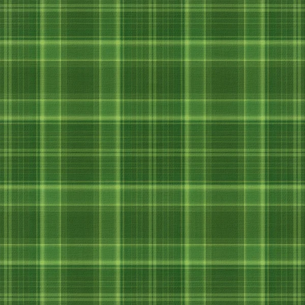 Plaid verde scuro — Foto Stock