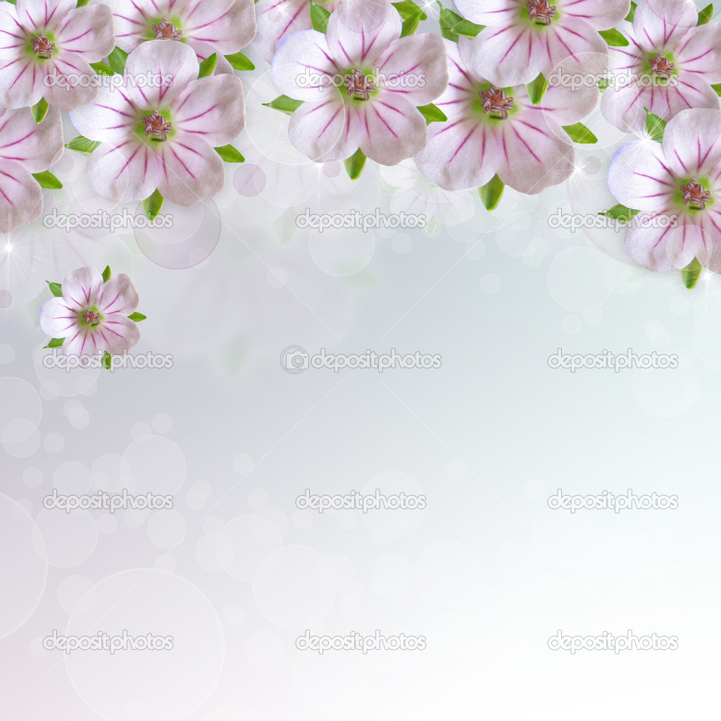 Border of white - pink  flower  on blue   background