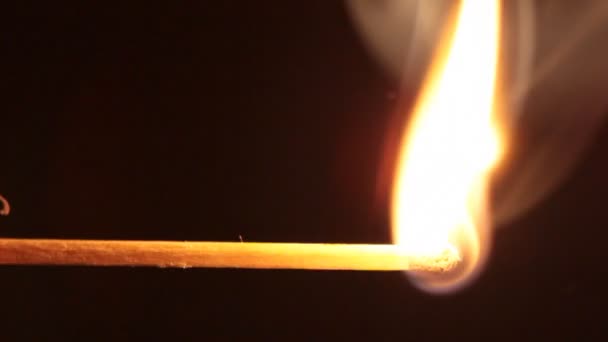 Macro of burning matchstick — Stock Video