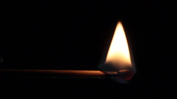 Macro van brandende lucifer — Stockvideo