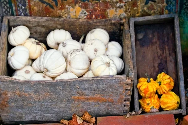 Abóboras de outono em umas caixas — Fotografia de Stock