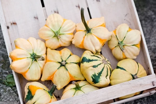 Autumn pumpkins in a box — Stock Photo, Image