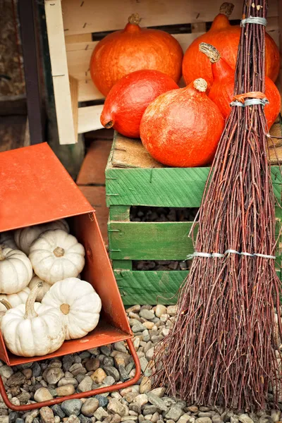 Las calabazas otoñales en la caja — Foto de Stock