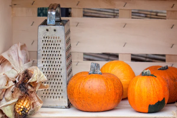 Bodegón de calabazas de otoño — Foto de Stock