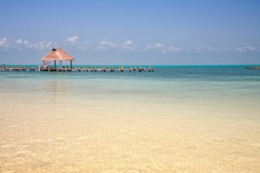Isla contoy, Meksika iskelede