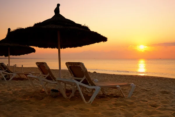 Nascer do sol sobre o guarda-sol na praia, Tunísia — Fotografia de Stock