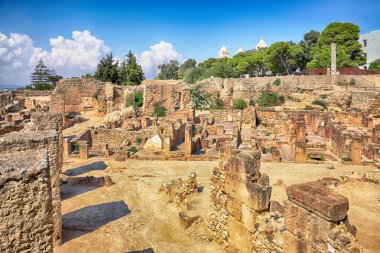 Ancient ruins in Carthage, Tunisia clipart