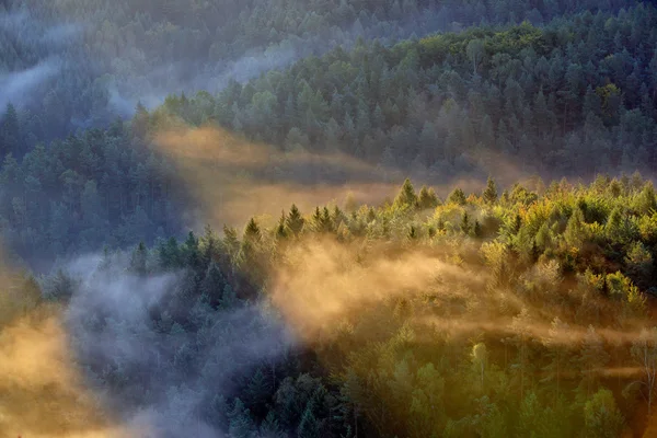 在波希米亚瑞士雾日出梁 — 图库照片