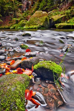 Kamenice nehri sonbaharda, Bohemian İsviçre