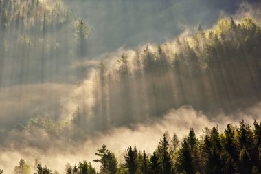 Sunrise kirişler üzerine sis bohem İsviçre