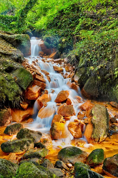 Rivulet Sucha Kamenice in the Bohemian Switzerland