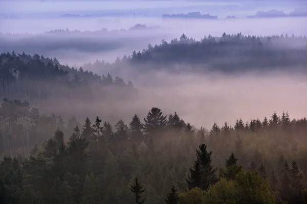 Mlžné svítání nad Českosaské Švýcarsko — Stock fotografie