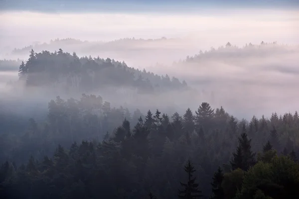Bohem İsviçre üzerinden sisli şafak — Stok fotoğraf