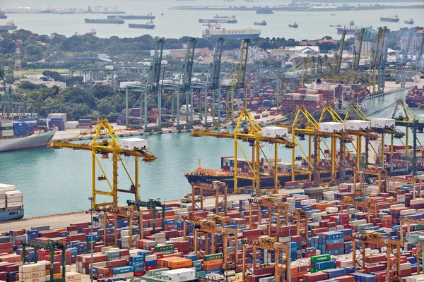 De haven van singapore — Stockfoto