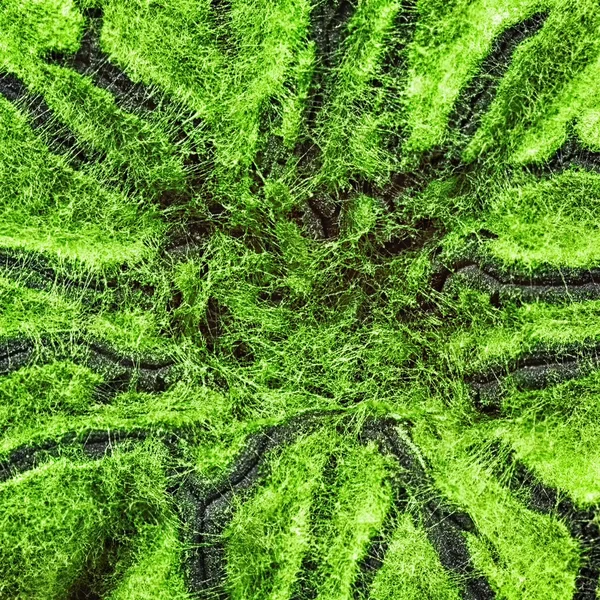 Macro shot of fuzzy mold — Stock Photo © zhuzhu 25051261