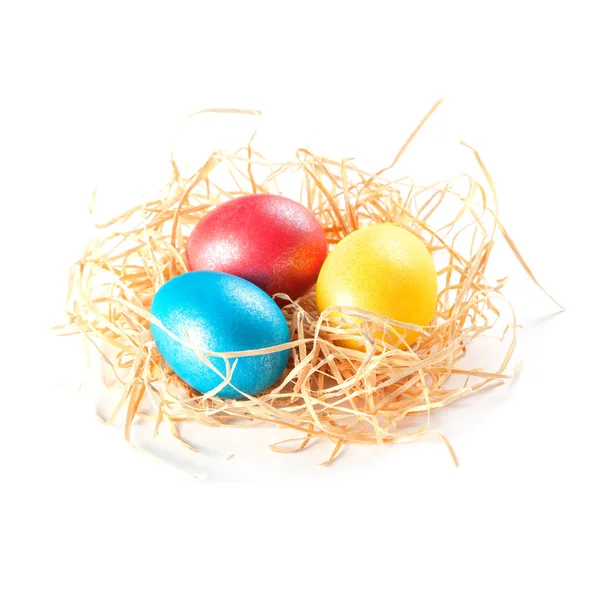 Easter eggs in nest — Stock Photo, Image