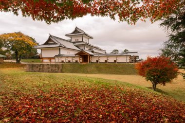 Kanazawa, Japonya 'daki Kanazawa şato parkının sonbahar manzarası.