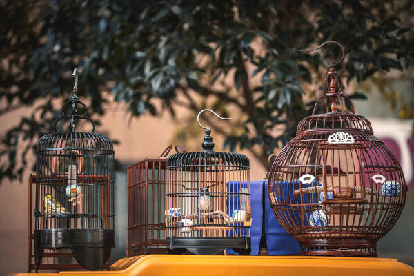 Birds in cages hanging at the street market in Hangzhou