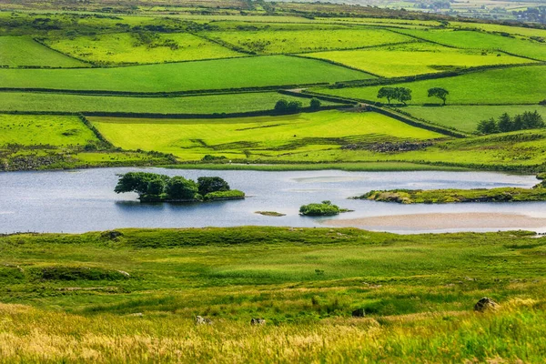 Widok Klifu Fair Head Lough Cranagh Wyspie Crannagh Hrabstwo Antrim — Zdjęcie stockowe