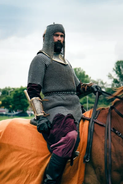 Armored companion, horsemen - KLUSHINO — Stock Photo, Image