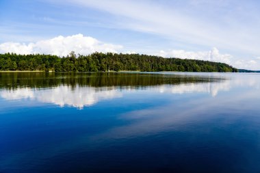 Mavi Göl, Masurian orman