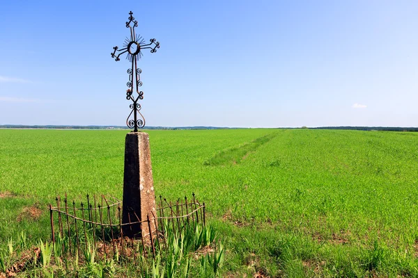 Cross i ett fält — Stockfoto