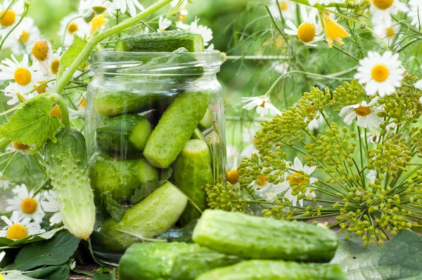 Canning cucumbers at home — Stock Photo, Image