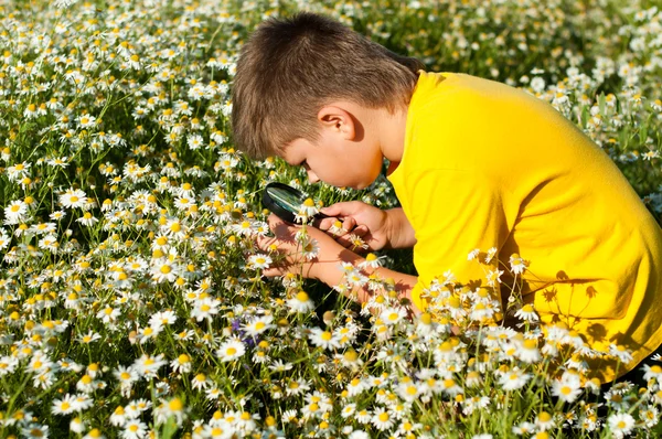 Boy sees flowers through magnifying glass — Stock Photo, Image