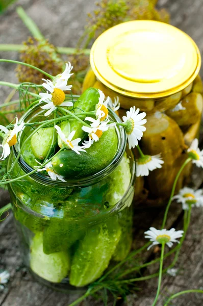 Concombres en conserve à la maison — Photo