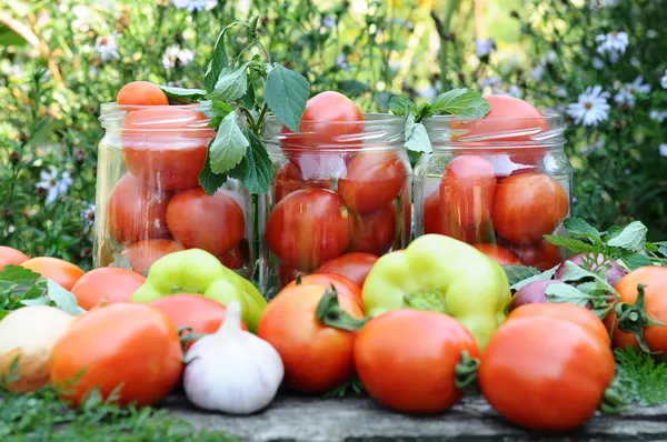 Evde konserve domates — Stok fotoğraf
