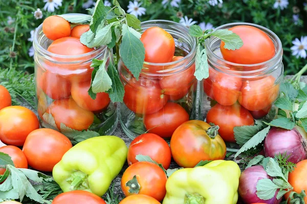 Mise en conserve des tomates à la maison — Photo