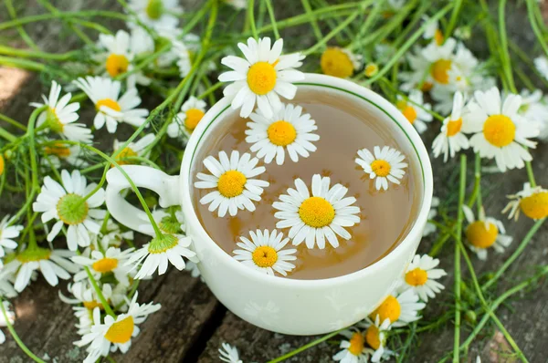 Papatya çiçek bitki çayı