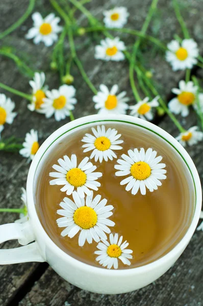 Herbal tea of chamomile flowers — Stock Photo, Image