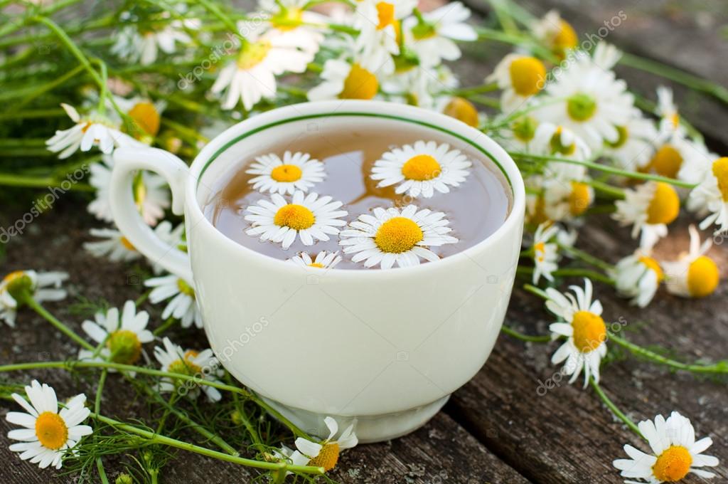 Herbal tea of chamomile flowers Stock Photo by ©olenka2008 12676671