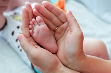 Leg of the newborn in the hands of mother clipart