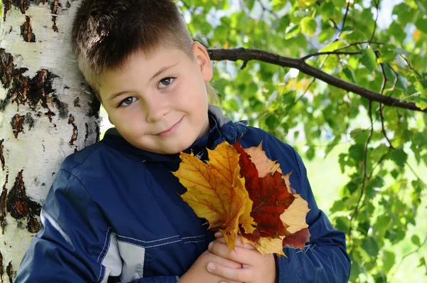 Chlapec u stromu v parku — Stock fotografie
