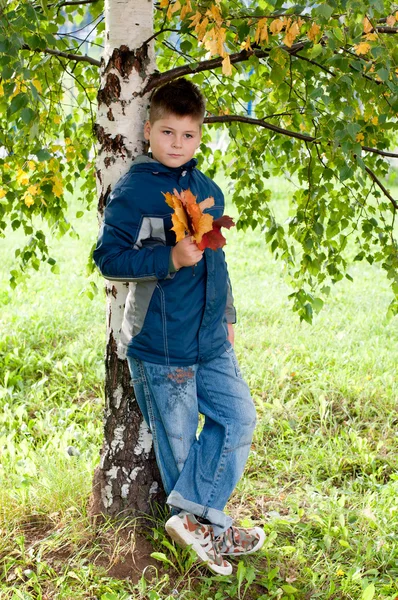 Chlapec u stromu v parku — Stock fotografie