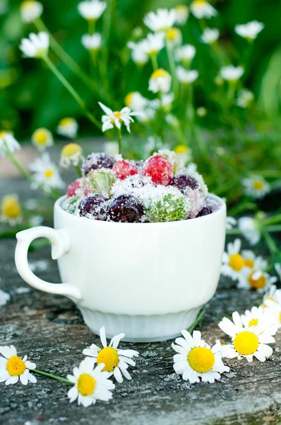 Fruta enlatada en un tazón — Foto de Stock