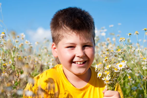 Niño en el prado con margaritas —  Fotos de Stock