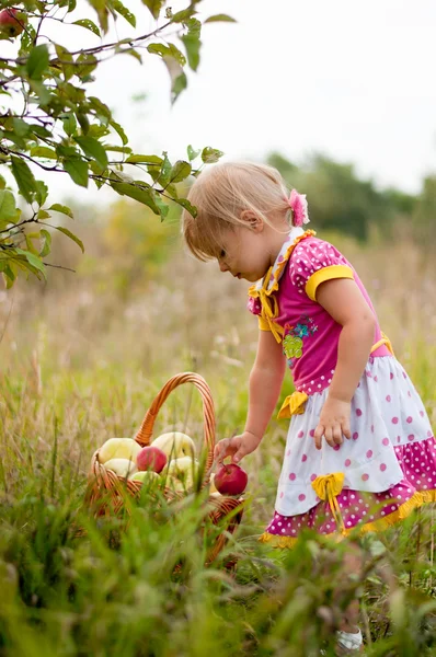 Menina 2.5 anos para pegar maçãs — Fotografia de Stock