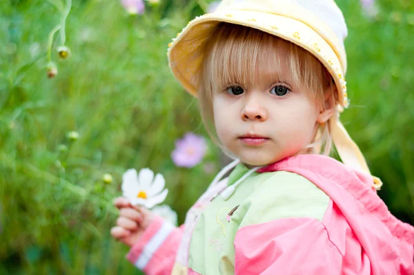 Little girl with flowers 2.5 years — Stock Photo, Image
